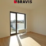 Rent 2 bedroom apartment of 31 m² in Brno