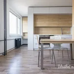 Rent 1 bedroom apartment of 31 m² in Capital City of Prague