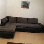 Rent 1 bedroom apartment in Lovnic