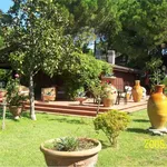 Rent 3 bedroom house of 80 m² in Magione