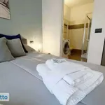 Rent 2 bedroom apartment of 50 m² in Milan