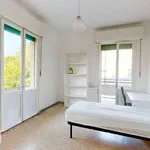 Rent 3 bedroom apartment of 65 m² in Bologna