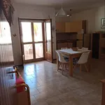 Rent 2 bedroom apartment of 50 m² in Sabaudia