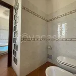 Rent 11 bedroom house of 600 m² in Carpineti