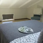 Rent 2 bedroom apartment in Bologna