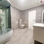 Rent 1 bedroom house of 112 m² in Tuhaň