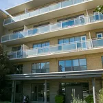 Rent 3 bedroom apartment in toronto