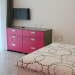 Rent 1 bedroom apartment of 36 m² in Brno