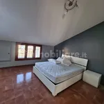 Rent 3 bedroom apartment of 70 m² in Cuneo