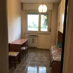 Rent 4 bedroom apartment of 120 m² in Roma