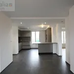 Rent 2 bedroom apartment of 66 m² in Loos