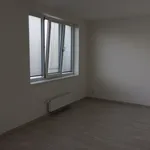 Rent 1 bedroom apartment of 80 m² in Brno