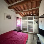 Rent 2 bedroom apartment of 28 m² in Siena