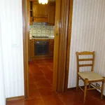 Rent 3 bedroom apartment of 167 m² in Arezzo