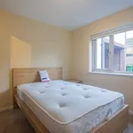 Rent 1 bedroom apartment in Wales