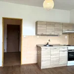 Rent 1 bedroom apartment of 22 m² in Teplice