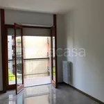 Rent 3 bedroom apartment of 110 m² in Milano