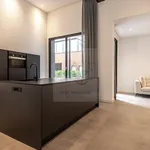 Rent 1 bedroom apartment of 130 m² in Maastricht