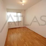 Rent 5 bedroom house of 259 m² in Prague