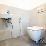 Pronajměte si 3 ložnic/e byt o rozloze 59 m² v Prague