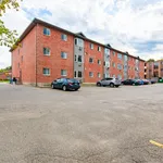 Rent 1 bedroom apartment in Orangeville