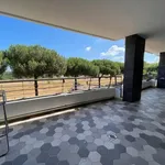 Rent 2 bedroom apartment of 58 m² in Roma