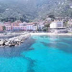 Rent 3 bedroom apartment of 60 m² in Isola del Giglio