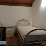 Rent 2 bedroom apartment of 50 m² in L'Aquila