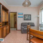 Rent 2 bedroom apartment of 56 m² in Turin