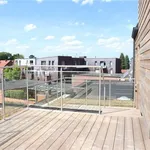 Rent 1 bedroom apartment in Puurs-Sint-Amands