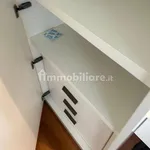 Rent 3 bedroom apartment of 120 m² in Turin