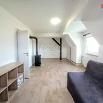 Pronajměte si 2 ložnic/e byt o rozloze 61 m² v Teplá