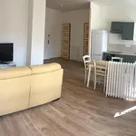 Appartement de 49 m² avec 2 chambre(s) en location à ST ETIENNE