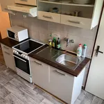 Rent 1 bedroom apartment in Ústí nad Orlicí