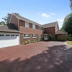 Rent 5 bedroom flat in Elmbridge