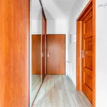 Rent 1 bedroom apartment of 43 m² in Prague