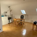 Rent 1 bedroom apartment of 45 m² in Frankfurt am Main