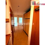 Rent 3 bedroom apartment of 79 m² in Plzeň