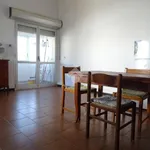 Rent 2 bedroom apartment of 60 m² in Alessandria