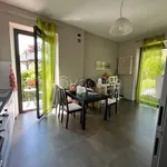 Rent 3 bedroom apartment of 75 m² in Torino