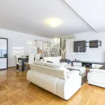 Rent 4 bedroom apartment of 170 m² in Zagreb