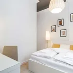 Rent 1 bedroom apartment in krakow