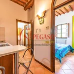 Rent 1 bedroom apartment of 35 m² in Pescia