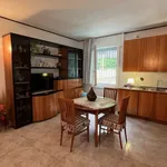 Rent 2 bedroom student apartment of 50 m² in Venezia