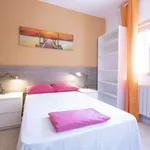 Rent a room of 80 m² in madrid