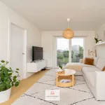 Rent 1 bedroom apartment of 40 m² in Gent