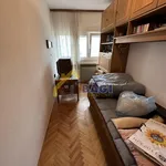 Rent 10 bedroom house of 270 m² in City of Zagreb