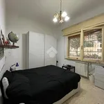 Rent 1 bedroom apartment of 45 m² in Roma