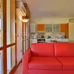 Rent 2 bedroom apartment of 45 m² in Bologna