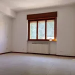 Rent 3 bedroom apartment of 75 m² in Roma